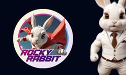 30 TEMMUZ ROCKY RABBİT KOMBO KARTLAR: Rocky Rabbit kombo kartlar belli oldu mu?