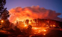 ABD cayır cayır yanıyor: California'da 373 bin dönüm küle döndü