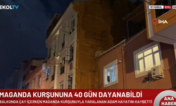 40 günlük yaşam savaşını kaybetti: Maganda hala aramızda!