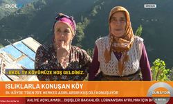 Alfabesi yok, konuşmak da yetenek işi! Bu köyde herkes kuş diliyle konuşuyor