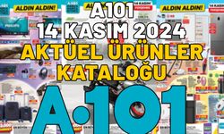 A101 14 KASIM KATALOĞU 2024: A101’de bu hafta cam silme robotu indirimde!