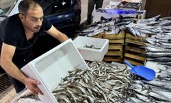 Samsun'da hamsinin kilosu üç haneli rakamdan satıldı