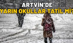 ARTVİN’DE YARIN OKULLAR TATİL Mİ? 26 Kasım Salı Artvin’de hangi ilçelerde okullar tatil?