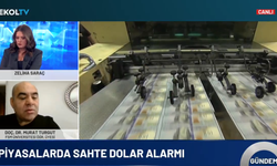 Sahte dolar nasıl ayırt edilir? Para sayma makineleri nasıl düzelecek? Uzman isim Ekol TV'de yanıtladı