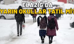 ELAZIĞ’DA YARIN OKULLAR TATİL Mİ? 26 Kasım Salı Elazığ’da okullar var mı?