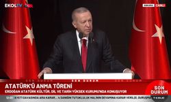 Cumhurbaşkanı Erdoğan: Sosyal medya Atatürkçüleri Türkiye'ye düşmanlık etmekte