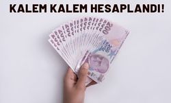 Hesaplar sil baştan! 2025 ehliyet, pasaport, IMEİ kayıt ücreti, MTV ve yurt dışı çıkış harcı ne kadar oldu?