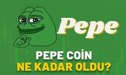 PEPE COİN NE KADAR OLDU? Bir gecede yüzde 80 yükseldi: 14 Kasım Pepe Coin kaç dolar?