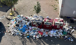 İstanbul'un 4 ilçesinde yine çöp dağları manzarası! Maltepe, Kartal, Ataşehir ve Kadıköy'de grev var