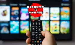 TV’DE BUGÜN NELER VAR? 12 Kasım 2024 Salı TV yayın akışı: Kanal D, Show TV, ATV, TRT1, Star TV, TV8, Now TV