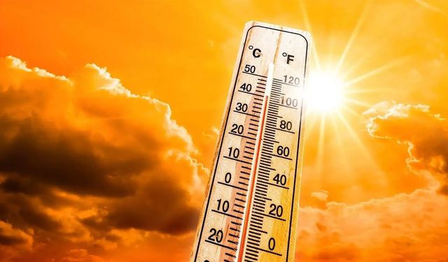 Dünya 21 Temmuz'da en sıcak günü yaşadı