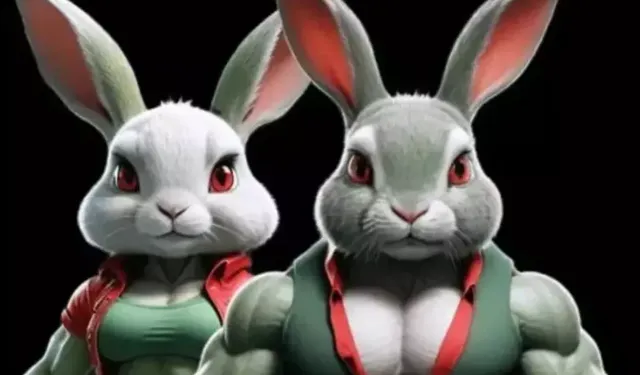 Rocky Rabbit 1 Ağustos Günlük Kombo Kartları: Rocky Rabbit 1 Ağustos 2024 bilmece çözümü