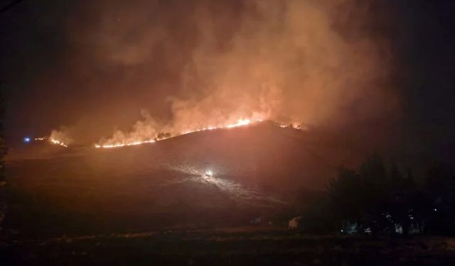 Hatay'da orman yangını: Ekipler alevlere müdahale ediyor