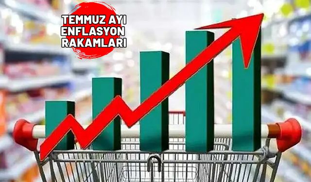 TEMMUZ AYI ENFLASYONU 2024 ||TÜİK'e göre aylık enflasyon oranları ne kadar oldu? (TEFE-TÜFE)