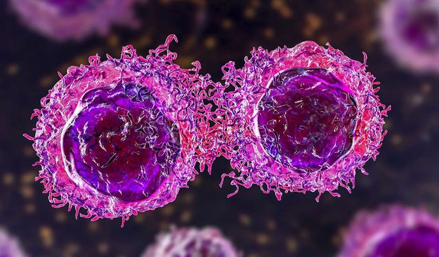 HPV virüsü öldürücü mü? Uzmanı dikkat edilmesi gereken noktayı açıkladı