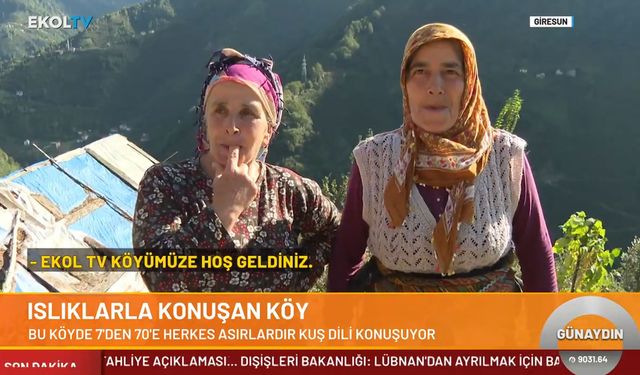 Alfabesi yok, konuşmak da yetenek işi! Bu köyde herkes kuş diliyle konuşuyor