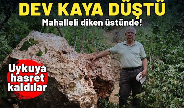 Kayısı topladıkları esnada taş ocağından 10 tonluk devasa kaya düştü