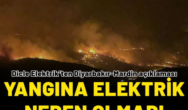 Dicle Elektrik'ten Diyarbakır-Mardin yangını açıklaması: Yangına elektrik neden olmadı