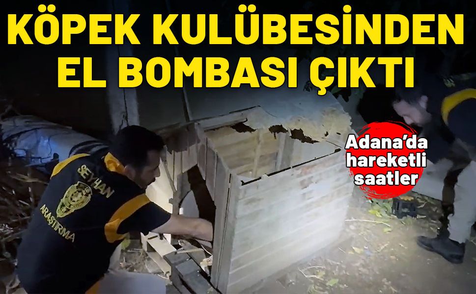 Adana'da hareketli saatler! Köpek kulübesinden el bombası çıktı